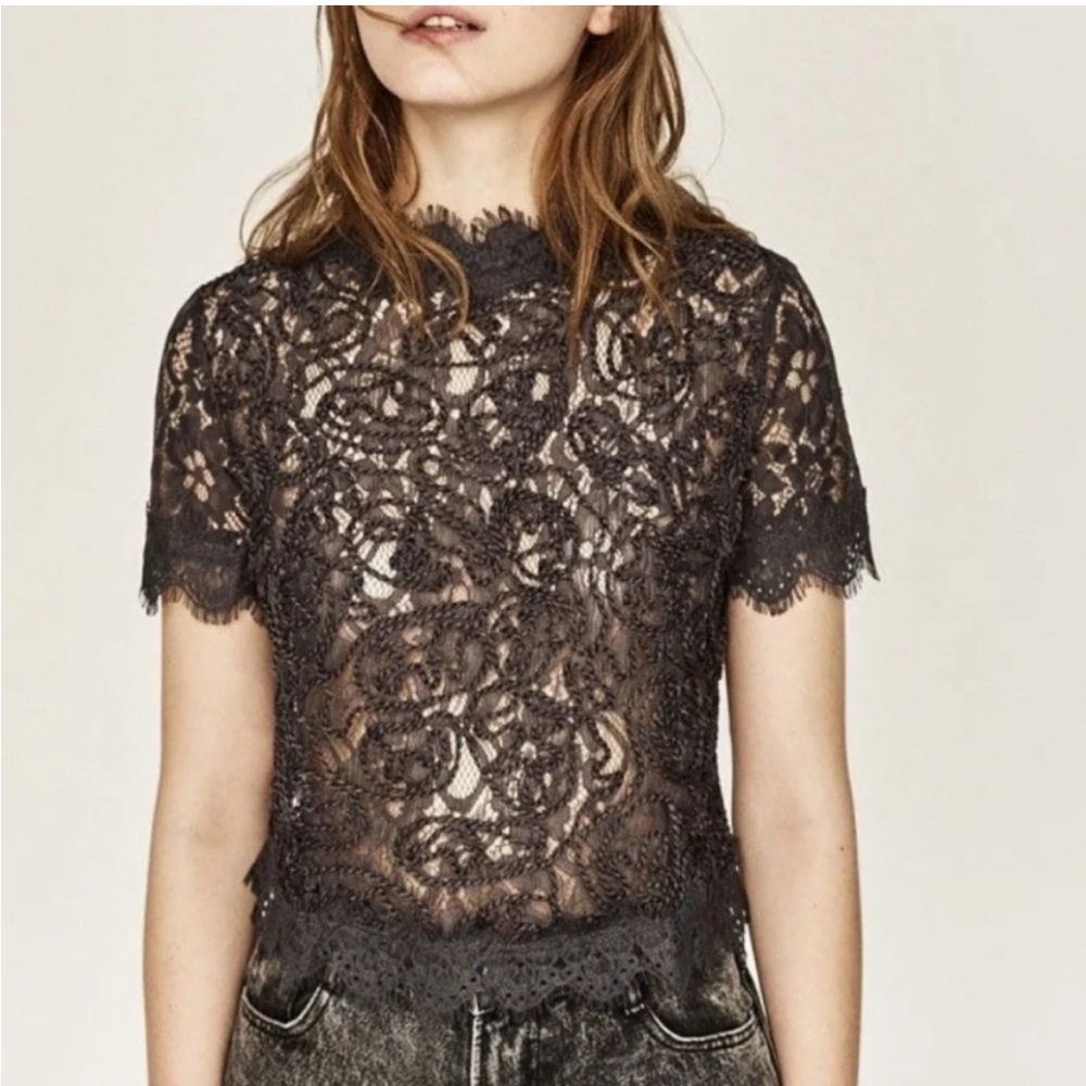 Zara Trafaluc Black Lace Embroidered Crop Top Semi Sheer Back Zip Womens Sz M